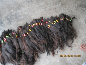 Manufacturers Exporters and Wholesale Suppliers of Unprocessed Virgin Hair MURSHIDABAD West Bengal